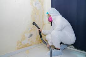 Forensic Mold Investigation in Lamar, CO